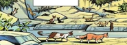 SkyClan S&tS.png (296 kB) Campamento de SkyClan en SkyClan & the Stranger
