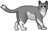 Pinta.guerrera.png (21 kB) Pinta como guerrera
