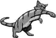 FrondeDorado.Bramblestar's.png (234 kB) Fronde Dorado en Bramblestar's Storm