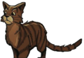 Sparrowpelt en SkyClan and the stranger