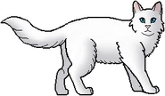 Cloudpelt.guerrero.png (36 kB) Cloudpelt como guerrero
