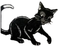 Cuervo en Bluestar's Prophecy