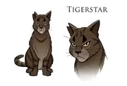 Concept art de Estrella de Tigre - A Shadow in Riverclan