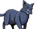 Borrascoso en A shadow in RiverClan