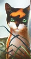 Tawnypelt.FG-4-FC.png (20 kB) Trigueña en la portada de Battles of the Clans