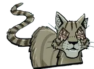 Rabo Largo.ATIT.webp (42 kB) Rabo Largo en A Thief in ThunderClan