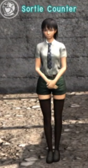 Sortie counter.png