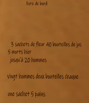 Ligny log