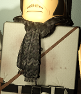 Tied Scarf *