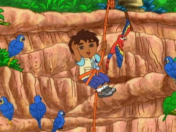 The Mommy Macaw | Go, Diego, Go! Wiki | Fandom