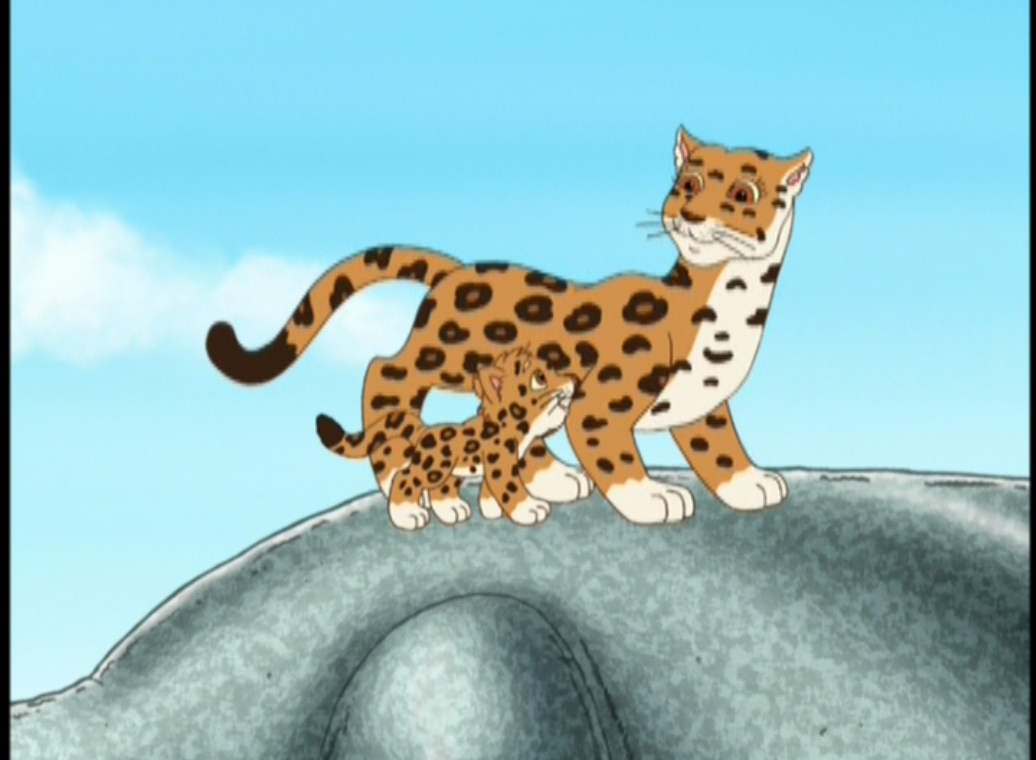 go diego go baby jaguar