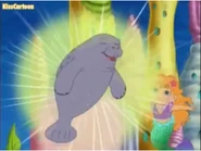 Manatee's Mermaid Rescue | Go, Diego, Go! Wiki | Fandom