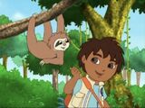 Diego Saves Mommy and Baby Sloth