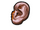 Ear.png