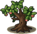 Fruit Tree.png