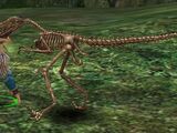 Skeleton Raptor