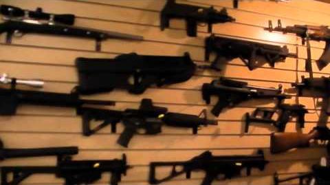 A wall of guns