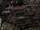 Wrist-Mounted Chain Gun