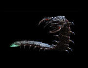 Serapede-1.jpg