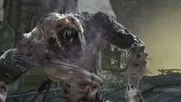 Gow-2-sire.jpg