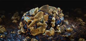 A common Locust chrysalis shell.