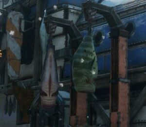 Hanging Mawfish