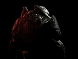 RAAM's Shadow