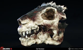 Stef-velzeboer-skull-1