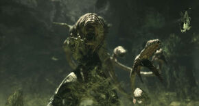 The Lambent Brumak shortly before Jacinto's destruction.