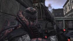 Gow-2-theron