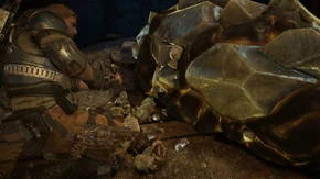 JD Fenix inspecting a Locust shell.