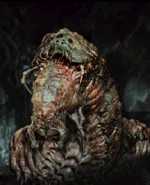 Vista de un Gusano de Roca