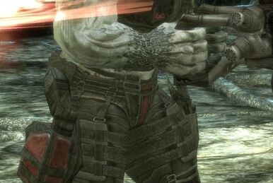 Tomatoes: A Beginner's Spotteruide - Gears of War 3 Guide - IGN