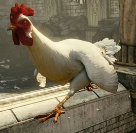 GOW 3 Chicken