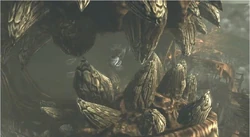 The Riftworm consumes  along with  onboard.