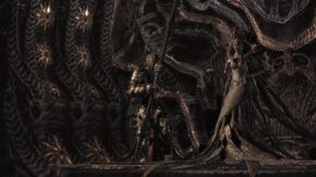 Myrrahnexus