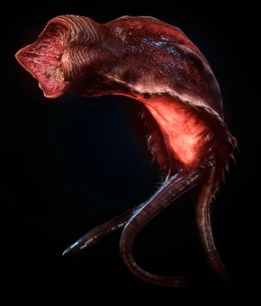 LeechRender