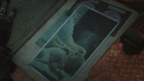 Reyna's medical file following her birth