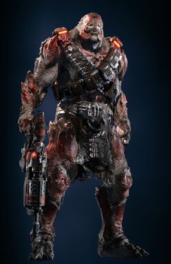 Drone, Gears of War Wiki