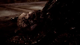 El cadáver de RAAM.