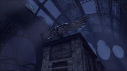 COG eagle.jpg