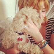 Bella-thorne-Hugging-her-dog-kingston