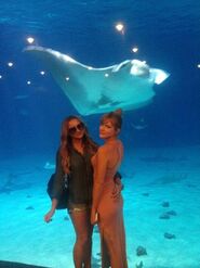 Bella-thorne-manta-ray-in-water-with-fanidk