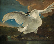 The-threatened-swan-jan-asselijin-1650