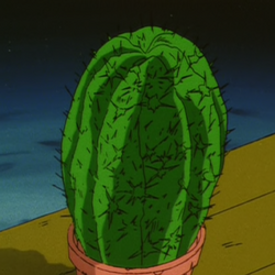 Yōkai Cactus/Gallery | GeGeGe no Kitarō Wiki | Fandom Yōkai Cactus/Gallery | GeGeGe no Kitarō Wiki | Fandom