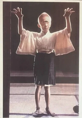 Yōkai Monsters Series