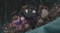 808 Tanuki | GeGeGe no Kitarō Wiki | Fandom