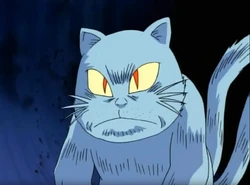 Neko-Shō | GeGeGe no Kitarō Wiki | Fandom