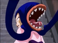 Futakuchi-Onna's secondary mouth in the 1996 anime.