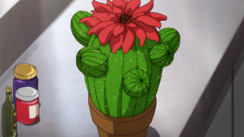 Yokai Cactus 2018 EP59